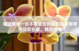精选整理一份不看征信风控的贷款有哪些贷款名单，精选分享