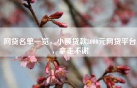 网贷名单一览，小额贷款3000元网贷平台，拿走不谢