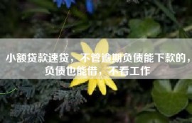 小额贷款速贷，不管逾期负债能下款的，负债也能借，不看工作