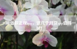 24期借款正规app，这几个网贷app值得一试！