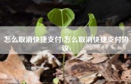 怎么取消快捷支付(怎么取消快捷支付协议)