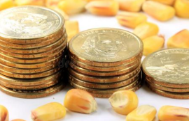 信用差申请必过的有哪些？盘点5个不查信用很不好必过的口子