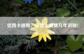 信用卡逾期，征信上需要几年消除?