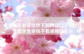有没有不看征信秒下的网贷口子？这几个都是免审核不看逾期的平台