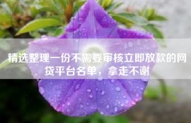 精选整理一份不需要审核立即放款的网贷平台名单，拿走不谢