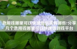急用钱哪里可以快速借到钱有哪些?分享几个急用钱哪里可以快速借到钱平台
