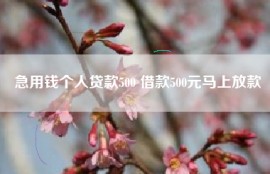 急用钱个人贷款500 借款500元马上放款