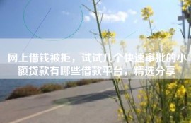 网上借钱被拒，试试几个快速审批的小额贷款有哪些借款平台，精选分享