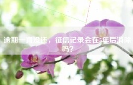 逾期一直没还，征信记录会在5年后消除吗？