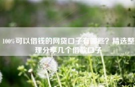 100%可以借钱的网贷口子有哪些？精选整理分享几个借款口子