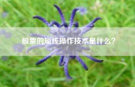 股票的短线操作技术是什么？