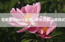 急需借钱3000元名单，这些贷款app值得试一试！