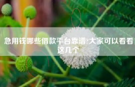 急用钱哪些借款平台靠谱?大家可以看看这几个