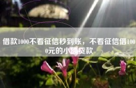 借款1000不看征信秒到账，不看征信借1000元的小额贷款
