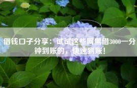 借钱口子分享：试试这些网黑借3000一分钟到账的，快速到账！
