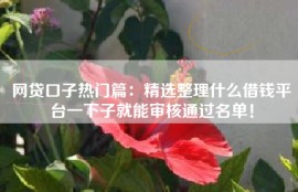 网贷口子热门篇：精选整理什么借钱平台一下子就能审核通过名单！