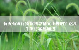 有没有银行贷款利息低又正规的？这几个银行容易通过