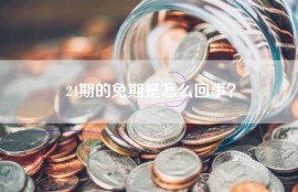 24期的免期是怎么回事？