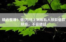 精选整理！借2万马上到账私人放款借款软件，不容错过