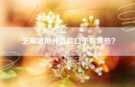 芝麻信用分贷款口子有哪些？
