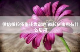 微信微粒贷借钱靠谱吗 微粒贷逾期有什么后果