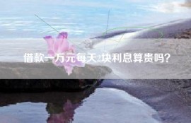 借款一万元每天2块利息算贵吗？