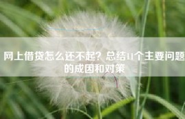 网上借贷怎么还不起？总结11个主要问题的成因和对策