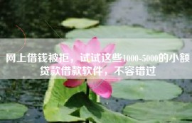网上借钱被拒，试试这些1000-5000的小额贷款借款软件，不容错过