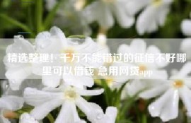 精选整理！千万不能错过的征信不好哪里可以借钱 急用网贷app