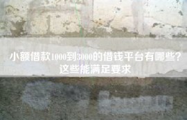 小额借款1000到3000的借钱平台有哪些？这些能满足要求