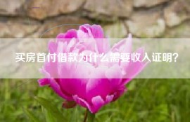 买房首付借款为什么需要收入证明？