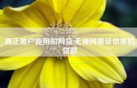 真正黑户能用的网贷,无视网黑征信黑的贷款