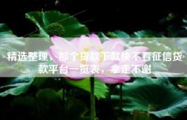 精选整理，那个贷款下款快不看征信贷款平台一览表，拿走不谢