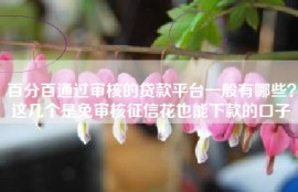百分百通过审核的贷款平台一般有哪些？这几个是免审核征信花也能下款的口子