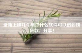 全新上线几个黑户什么软件可以借到钱贷款，分享！