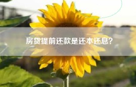 房贷提前还款是还本还息？