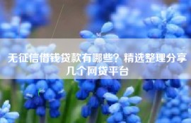无征信借钱贷款有哪些？精选整理分享几个网贷平台