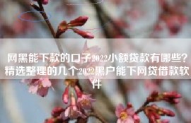 网黑能下款的口子2022小额贷款有哪些？精选整理的几个2022黑户能下网贷借款软件
