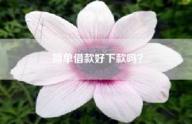 简单借款好下款吗？
