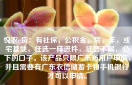 悦农e贷：有社保，公积金，房，车，或宅基地，任选一样进件，征信不黑，必下的口子。该产品只限广东省用户申请，并且需要有广东农信储蓄卡和手机银行才可以申请。