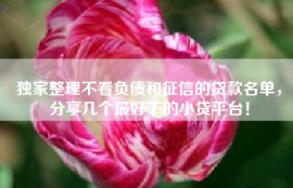 独家整理不看负债和征信的贷款名单，分享几个最好下的小贷平台！