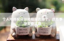 个人所得税房贷和租房选哪个，这些事项需要注意