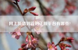 网上能借到钱的正规平台有哪些?
