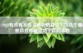 2022有没有不会不被拒的贷款？这几个都是百分百能成功下款的平台