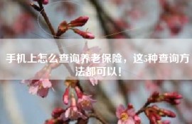 手机上怎么查询养老保险，这5种查询方法都可以！