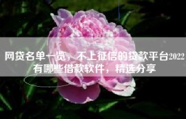 网贷名单一览，不上征信的贷款平台2022有哪些借款软件，精选分享