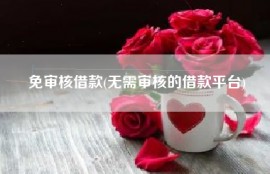 免审核借款(无需审核的借款平台)
