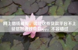 网上借钱被拒，试试这些贷款平台不上征信好通过贷款app，不容错过