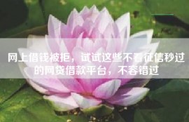 网上借钱被拒，试试这些不看征信秒过的网贷借款平台，不容错过