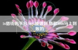 16借钱的平台100%能借到,借款3000马上到账的